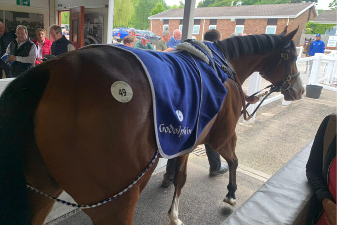 Winwood Foto: Recke Winwood Foto: Recke