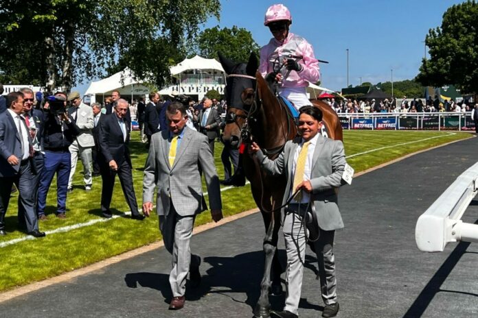 Emily Upjohn Emily Upjohn