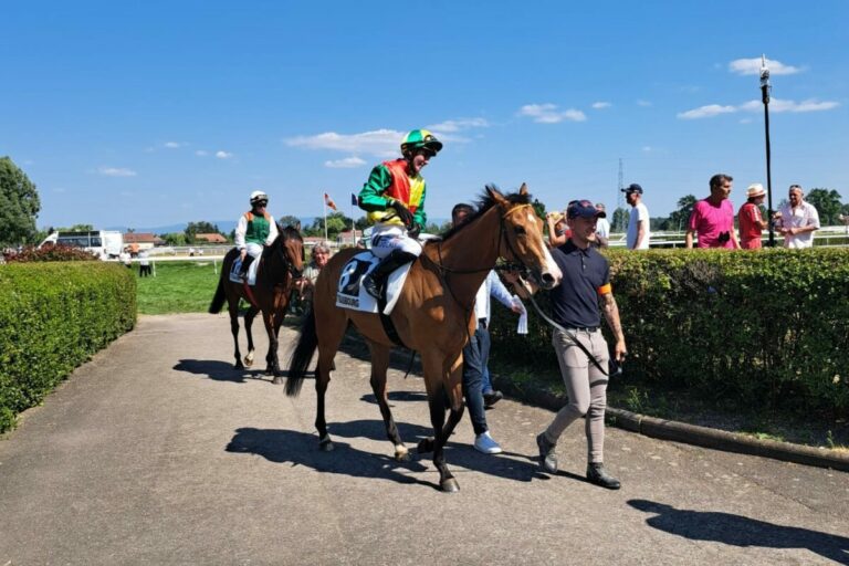 Deutsche Demonstration zum Straßburg-Abschluß! Kerekes‘ Mr Riem vorne