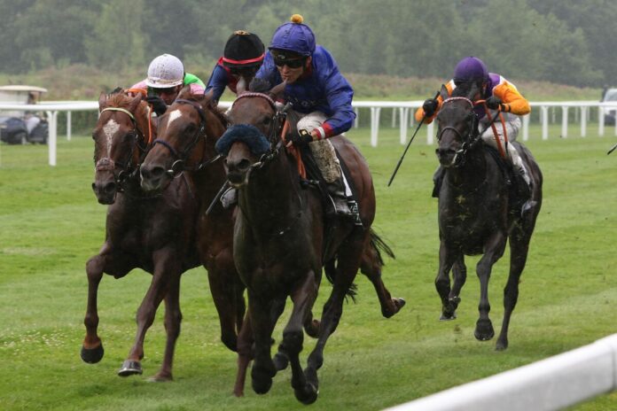 Assistent siegt unter Thore Hammer-Hansen Assistent siegt unter Thore Hammer-Hansen