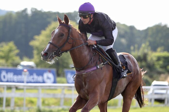 Cabot Cliffs (Archiv) Cabot Cliffs (Archiv)