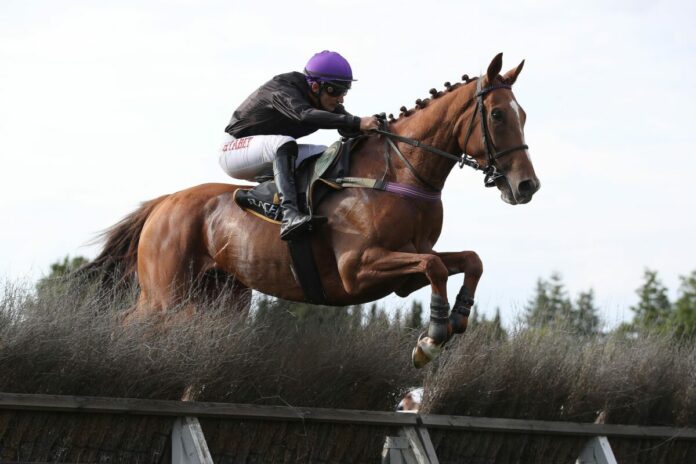 Cabot Cliffs Cabot Cliffs