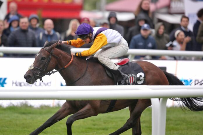 Dhara siegt unter Sibylle Vogt Dhara siegt unter Sibylle Vogt