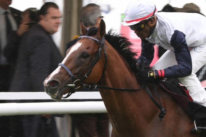 Westminster Night siegt unter Eduardo Pedroza