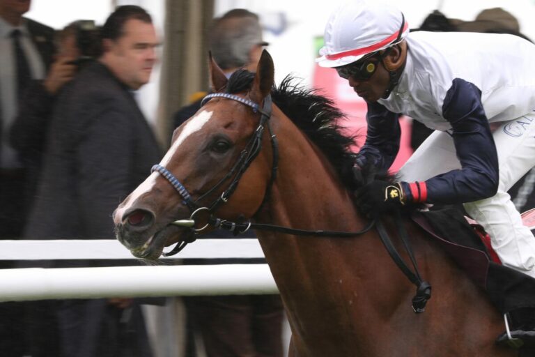 Westminster Night siegt unter Eduardo Pedroza