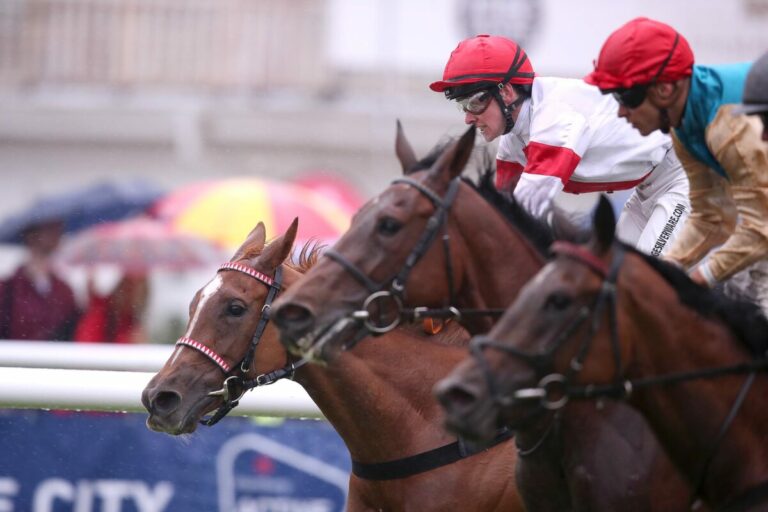 Amnesty rettet sich ins Ziel – Erster Byrne-Erfolg in Horn