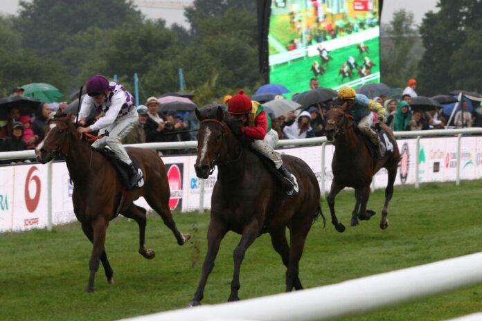 Flotte Lotte siegt unter Miquel Lopez