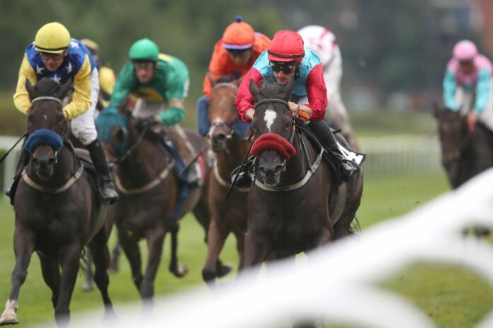 Sideshow Bob siegt unter Maxim Pecheur