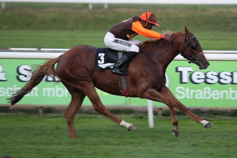 Auch der Rennstall Darboven kann nachlegen