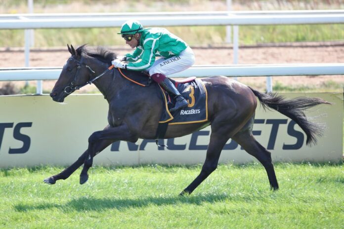 New Emerald siegt unter Alexander Pietsch