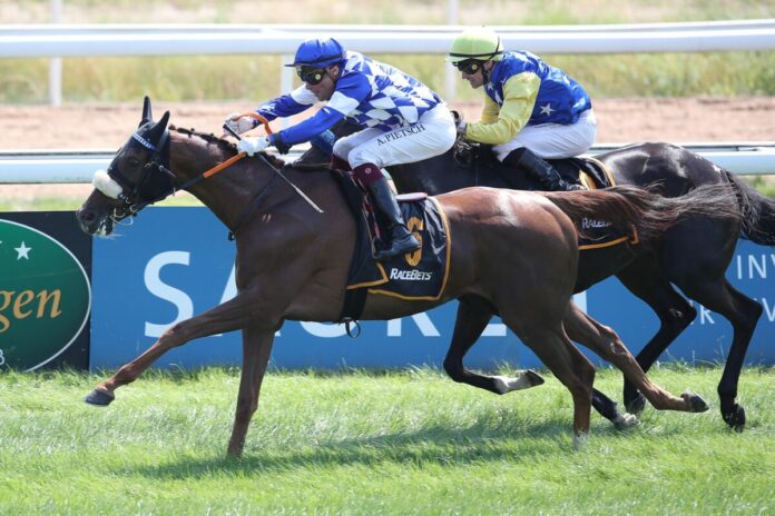 Wild Sheriff siegt unter Alexander Pietsch