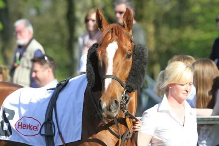 Nordico im Jahr 2017 Nordico im Jahr 2017