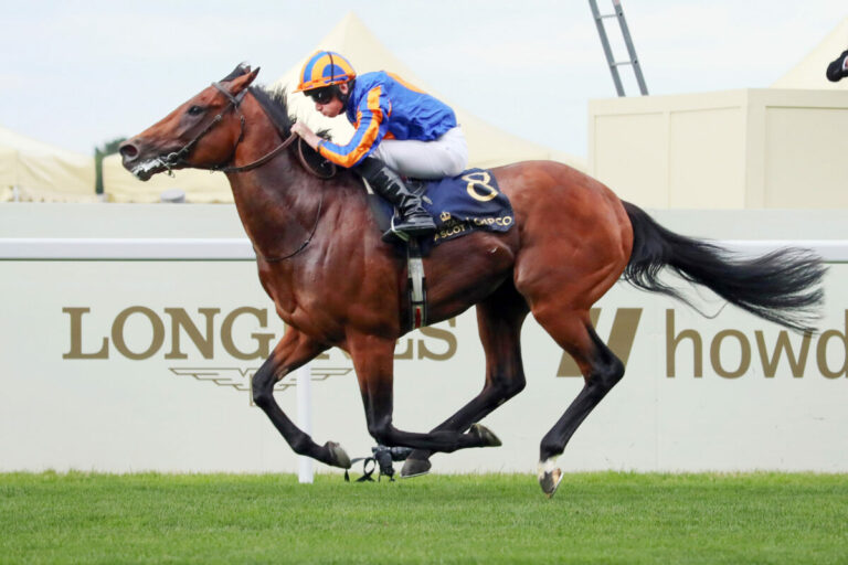 Paddington Foto: Sorge