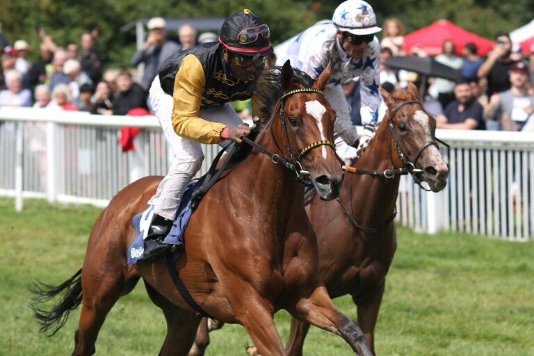 Auch Dresden veranstaltet am Samstag Galopprennen