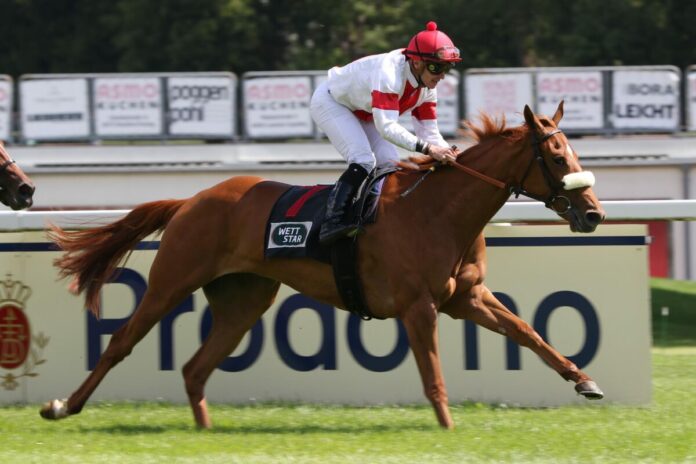 Real Love siegt unter Wladimir Panov