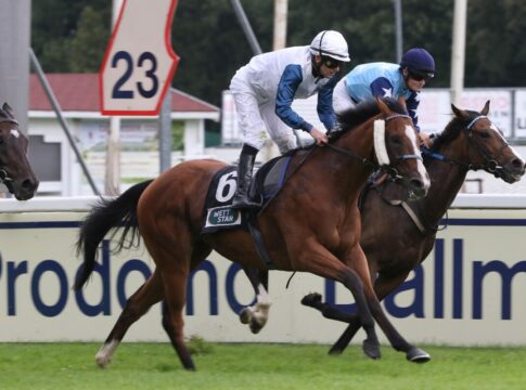 Ziburske plant 40 Westminster-Pferde bei Pantall Westminster Night siegt unter Jozef Bojko