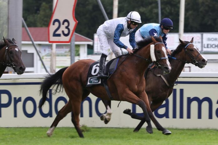 Westminster Night siegt unter Jozef Bojko Westminster Night siegt unter Jozef Bojko