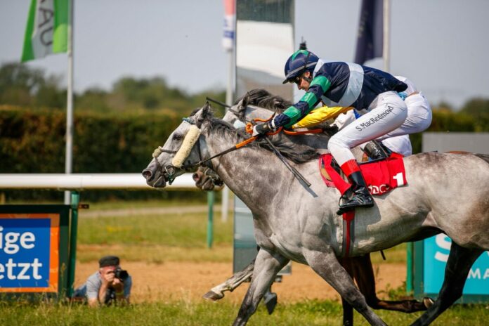 Cheval Blanc