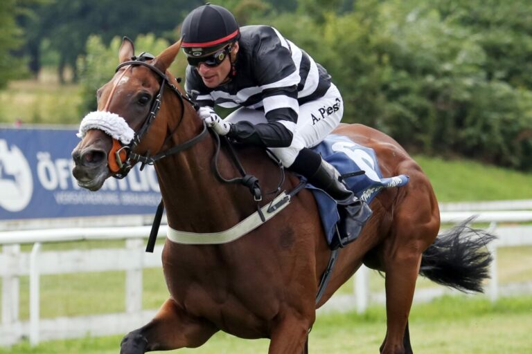 Lady Chryss O’Reilly mit 73 Jahren verstorben