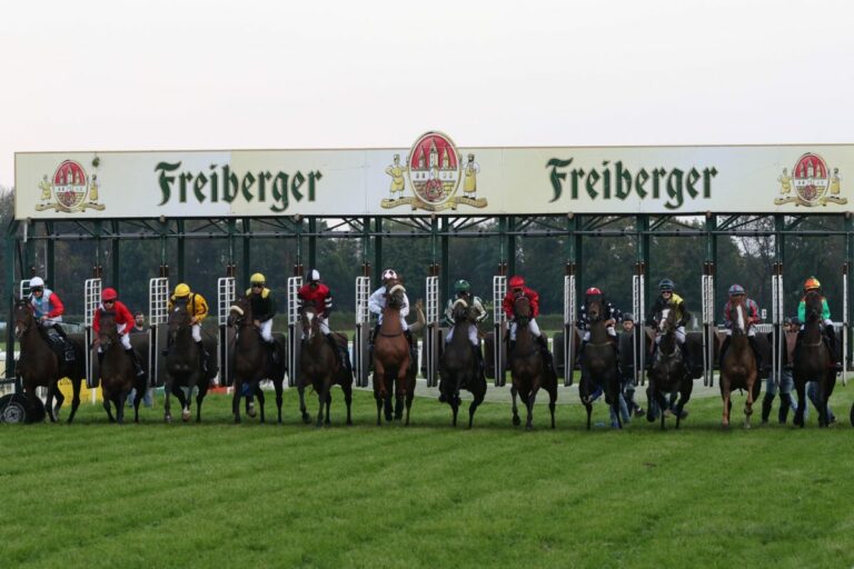 Auch Dresden veranstaltet am Sonntag
