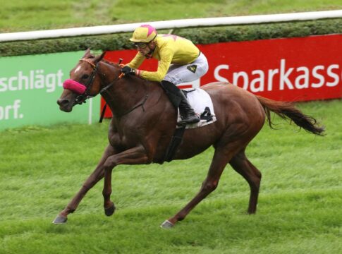 Ex-Deutscher See Hector gibt am Freitag sein Debüt für Osborne See Hector