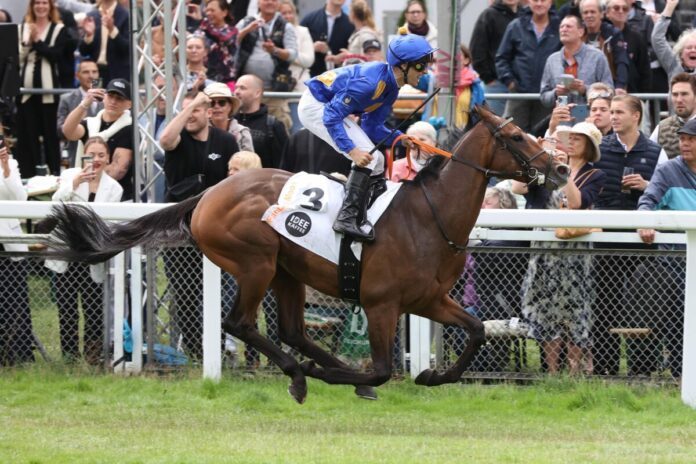 Fantastic Moon Fantastic Moon