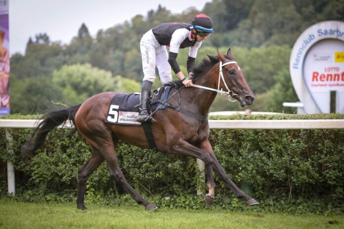 Gamine siegt unter Tommaso Scardino Gamine siegt unter Tommaso Scardino