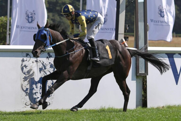 Attraktives Programm rund um den Großen Preis