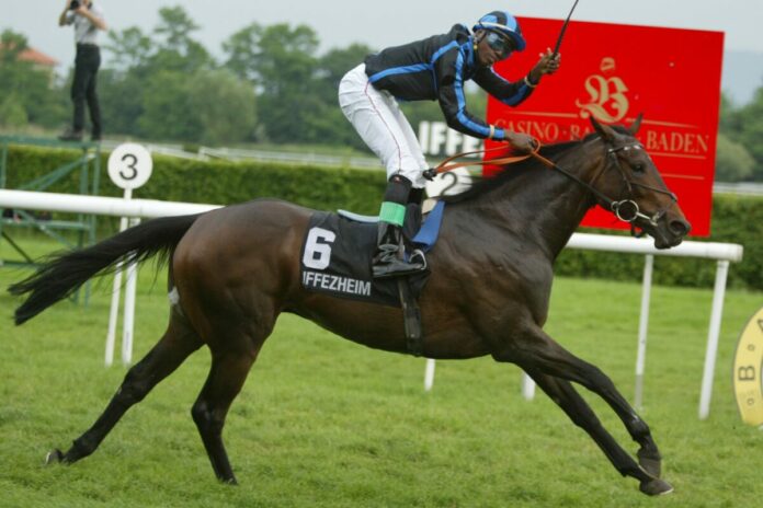 Ingolf siegt unter E. Pedroza