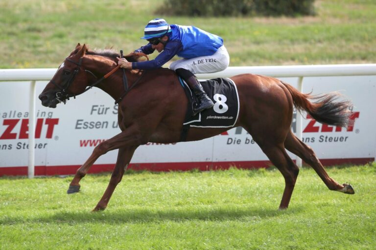 Sieben Rennen beim PMU-Samstag in Riem