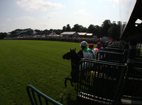 Alles dabei! Ausgleich II, Dreijährige, V4 und Viererwette in München