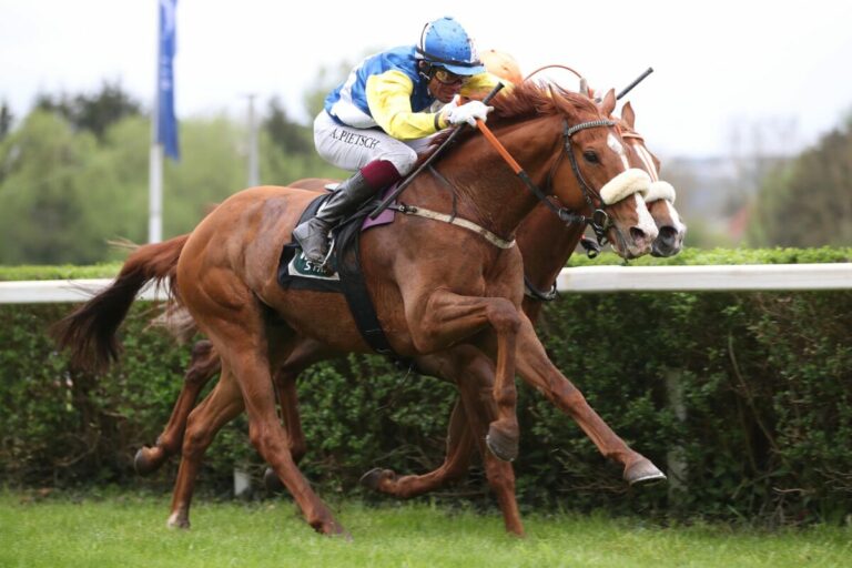 Saarbrücken veranstaltet am Dienstag