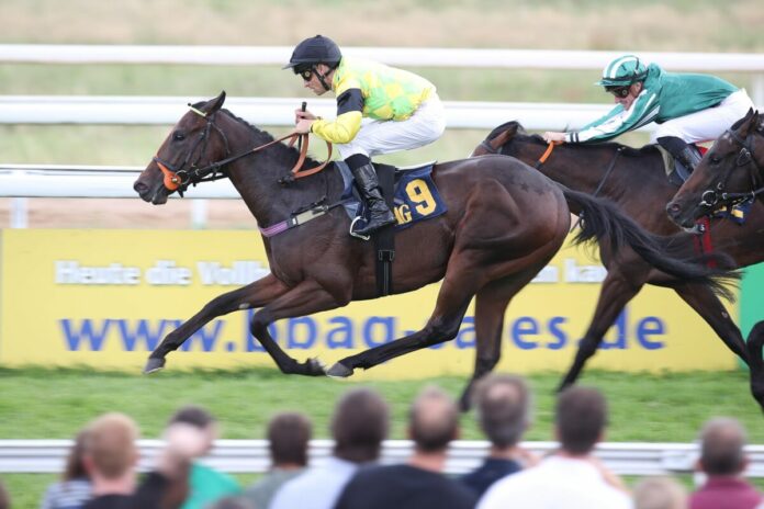 Son Roc siegt unter Rene Piechulek im BBAG-Rennen