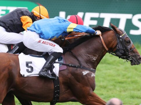 Nach Streichung - Noch 14 Kandidaten für die Goldene Peitsche Zerostress bei seinem Sieg in der Goldenen Peitsche