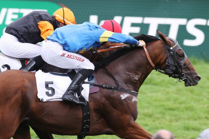 Zerostress bei seinem Sieg in der Goldenen Peitsche Zerostress bei seinem Sieg in der Goldenen Peitsche