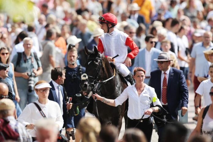 Calif siegt unter Rene Piechulek im 90. Brunner - Oettingen-Rennen Calif siegt unter Rene Piechulek im 90. Brunner - Oettingen-Rennen