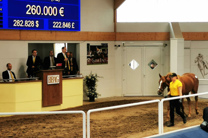 Die Lot-Nummer 39 ging für 260.000 Euro an Bruno Grizzetti Foto: Adam