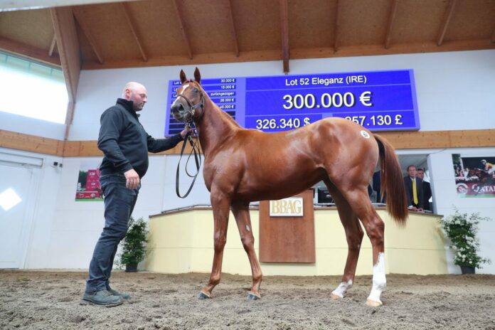 Eleganz brachte bei der BBAG 300.000 Euro