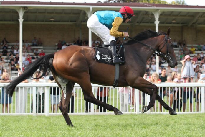 Kassada beim Aufgalopp in Iffezheim