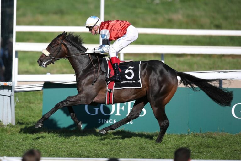 Wintertraum beeindruckt beim Lebensdebüt – Hickst-Schützling locker voraus