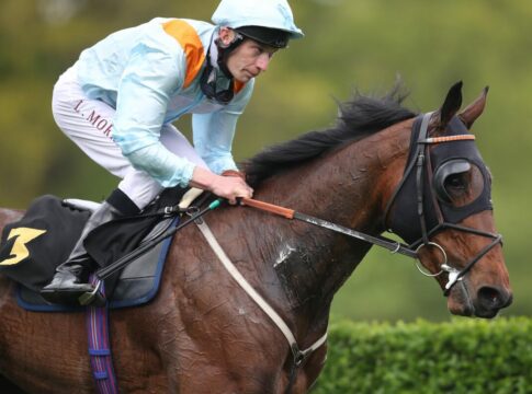 Katar: Riesenprobleme mit rutschiger Bahn, Meeting gerät aus den Fugen Brave Emperor siegt unter Luke Morris im Großer Preis der Wohnstätte Krefeld – Dr. Busch-Memorial, Gr.3