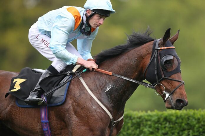Brave Emperor siegt unter Luke Morris im Großer Preis der Wohnstätte Krefeld - Dr. Busch-Memorial, Gr.3