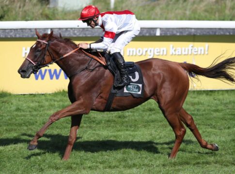 141. Deutsches St. Leger: Sieben Starter am Sonntag Lordano unter Rene Piechulek