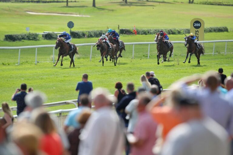 Sechs Rennen am Freitag in Köln