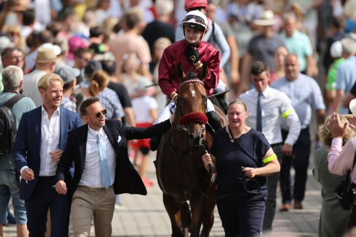 Mr Hollywood nach seinem zweiten Platz im Großen Preis von Baden, Gr.1