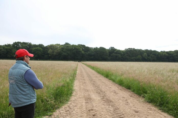 Wohin führt der Weg von Markus Klug?