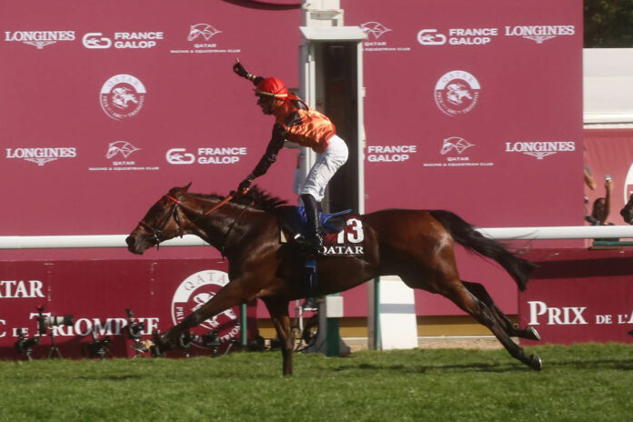 Ace Impact Ace Impact gewinnt den Prix de l'Arc de Triomphe