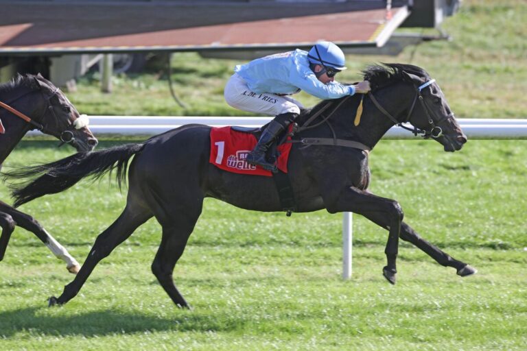 Der „schwarze Graf“ – Zweiter Zweijährigen-Sieg für Kleinkorres