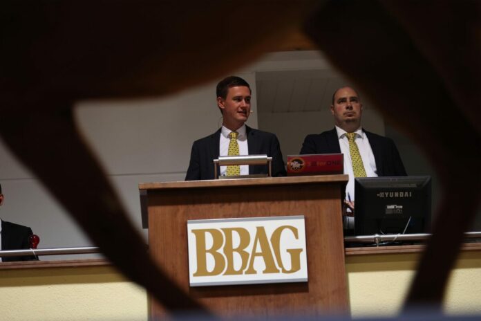 Auktionator Marvin Schridde BBAG