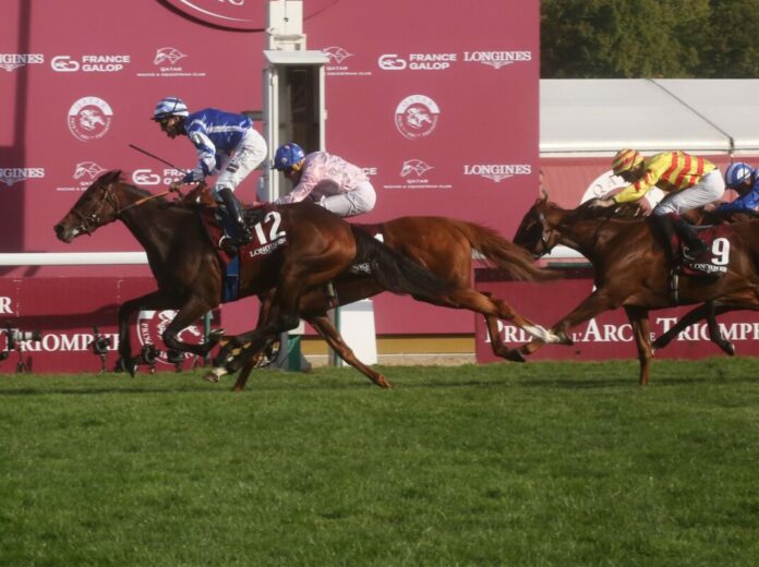 Blue Rose Cen Blue Rose Cen